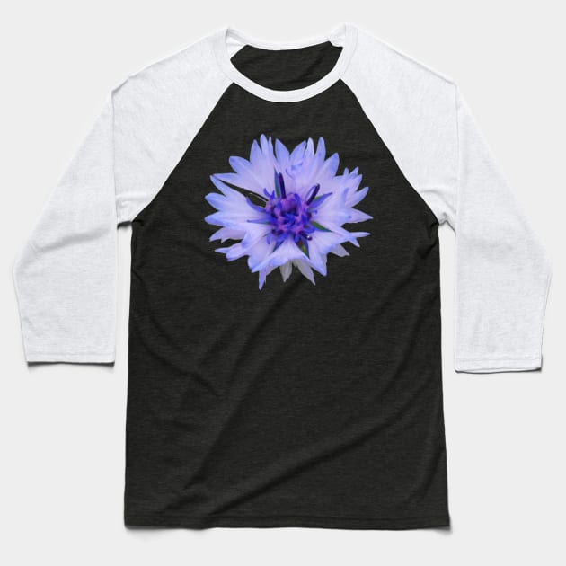 Cornflower Baseball T-Shirt by Nicole Gath Photography